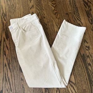 NWT Ann Taylor Loft Modern Straight Corduroy Pants